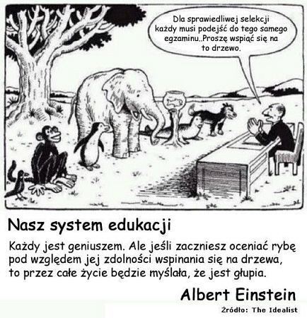 system edukacji